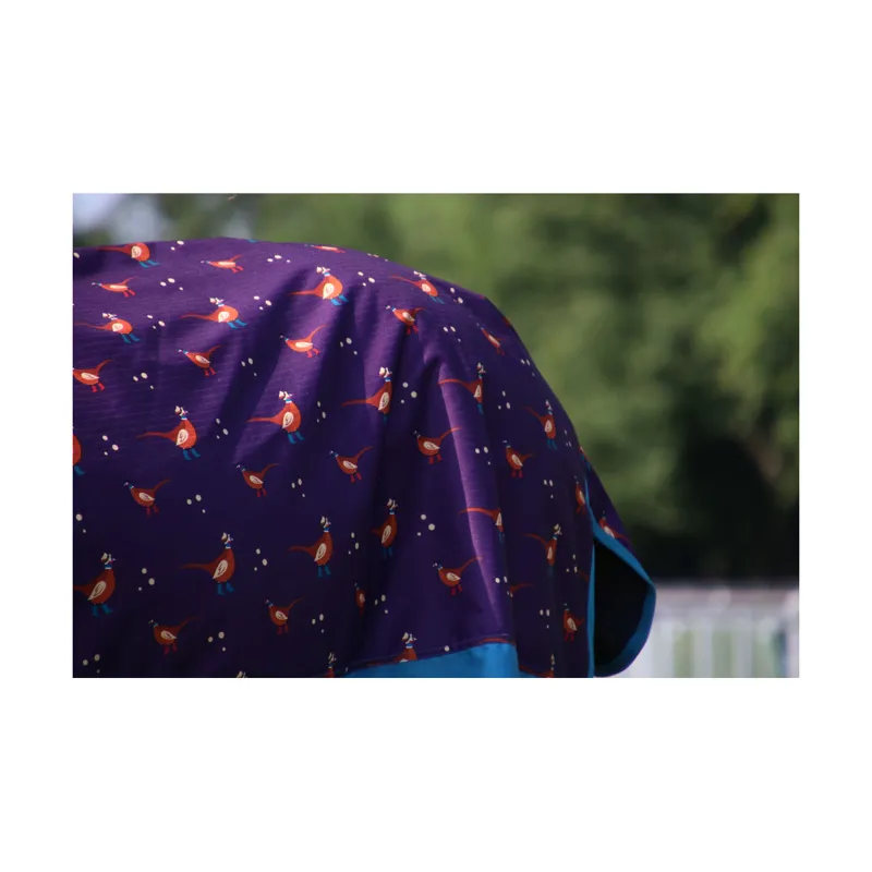 StormX Standard 100g Patrick the Pheasant Rug-1